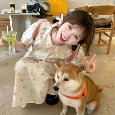 蝙蝠侠与小丑女